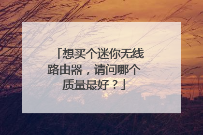 想买个迷你无线路由器，请问哪个质量最好？