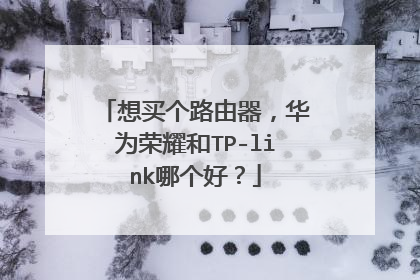 想买个路由器，华为荣耀和TP-link哪个好？
