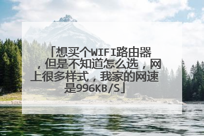 想买个WIFI路由器,但是不知道怎么选,网上很多样式,我家的网速是996KB/S