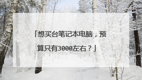 想买台笔记本电脑，预算只有3000左右？