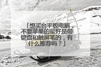 想买台平板电脑,不要苹果的最好是带键盘和触屏笔的,有什么推荐吗?