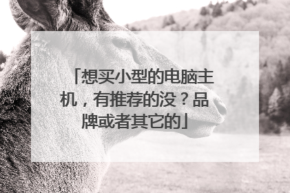 想买小型的电脑主机，有推荐的没？品牌或者其它的