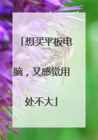 想买平板电脑，又感觉用处不大