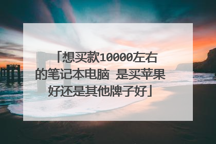 想买款10000左右的笔记本电脑 是买苹果好还是其他牌子好