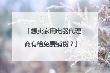 想卖家用电器代理商有给免费铺货?