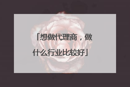 想做代理商,做什么行业比较好