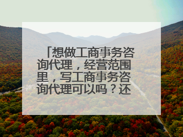 想做工商事务咨询代理,经营范围里,写工商事务咨询代理可以吗?还有名称,应该从哪入手???