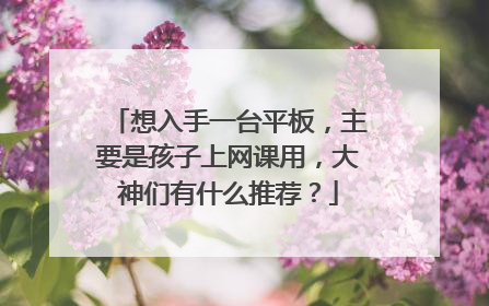 想入手一台平板，主要是孩子上网课用，大神们有什么推荐？