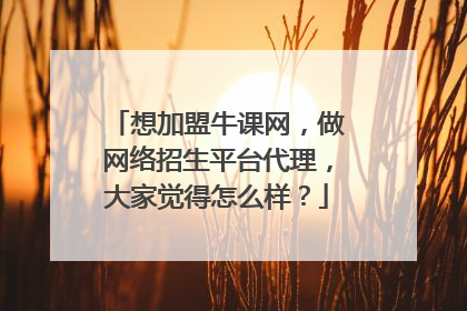 想加盟牛课网，做网络招生平台代理，大家觉得怎么样？