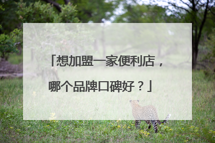 想加盟一家便利店，哪个品牌口碑好？