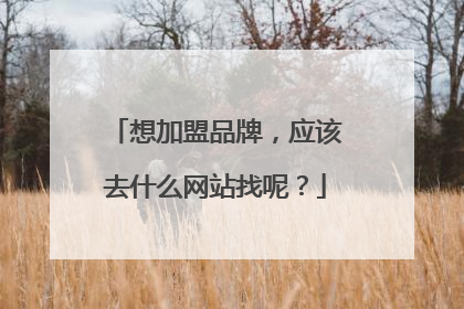 想加盟品牌，应该去什么网站找呢？