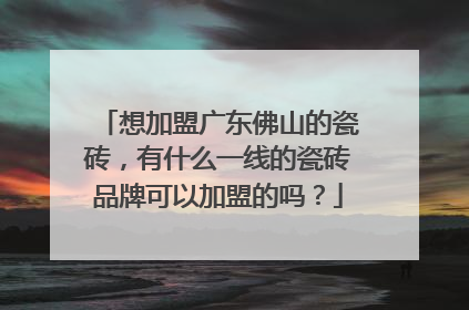 想加盟广东佛山的瓷砖,有什么一线的瓷砖品牌可以加盟的吗?
