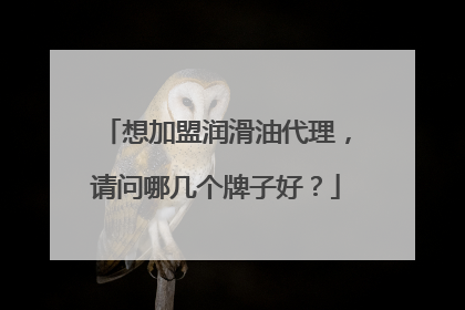 想加盟润滑油代理,请问哪几个牌子好?
