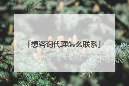 想咨询代理怎么联系
