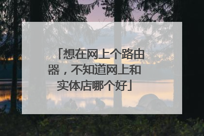 想在网上个路由器,不知道网上和实体店哪个好