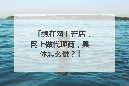 想在网上开店,网上做代理商,具体怎么做?