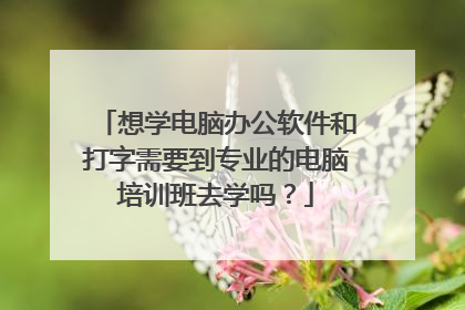 想学电脑办公软件和打字需要到专业的电脑培训班去学吗？