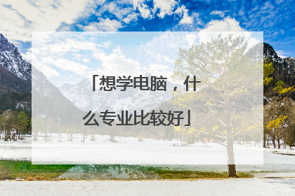 想学电脑，什么专业比较好