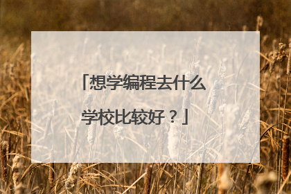 想学编程去什么学校比较好？