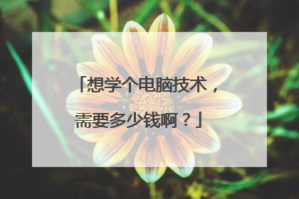 想学个电脑技术,需要多少钱啊?
