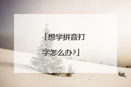 想学拼音打字怎么办?