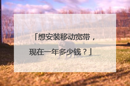 想安装移动宽带,现在一年多少钱?