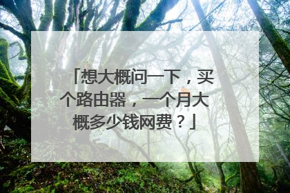 想大概问一下，买个路由器，一个月大概多少钱网费？
