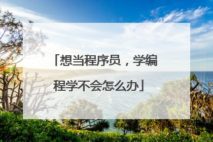 想当程序员，学编程学不会怎么办