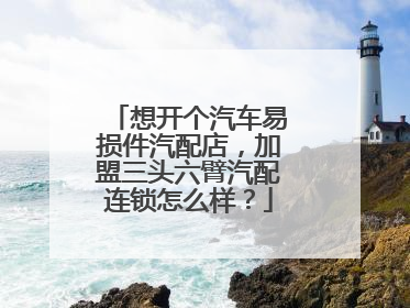 想开个汽车易损件汽配店，加盟三头六臂汽配连锁怎么样？