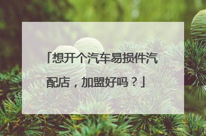 想开个汽车易损件汽配店，加盟好吗？