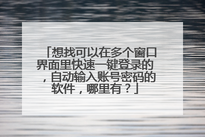 想找可以在多个窗口界面里快速一键登录的,自动输入账号密码的软件,哪里有?
