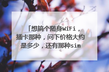 想搞个随身WiFi,插卡那种,问下价格大约是多少,还有那种sim卡是怎么计费的,一个月多少流量要多