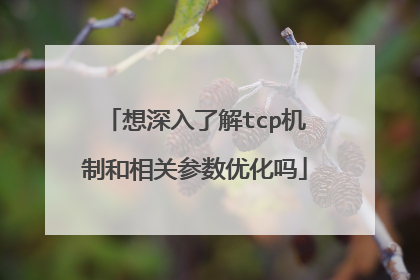 想深入了解tcp机制和相关参数优化吗