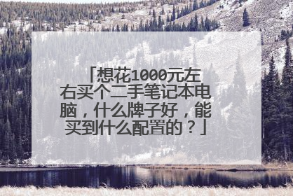想花1000元左右买个二手笔记本电脑,什么牌子好,能买到什么配置的?