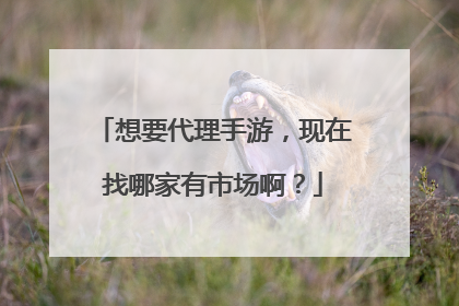 想要代理手游,现在找哪家有市场啊?