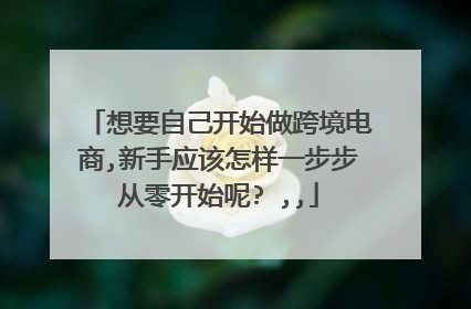 想要自己开始做跨境电商,新手应该怎样一步步从零开始呢? ,,