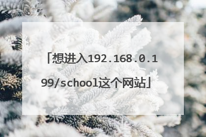 想进入192.168.0.199/school这个网站