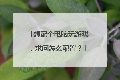 想配个电脑玩游戏，求问怎么配置？