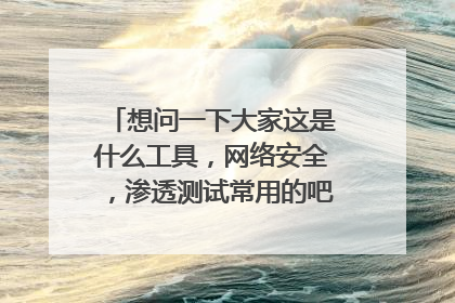 想问一下大家这是什么工具,网络安全,渗透测试常用的吧应该,谢谢大家