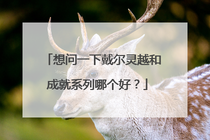 想问一下戴尔灵越和成就系列哪个好?