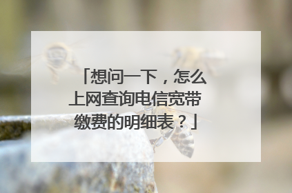 想问一下,怎么上网查询电信宽带缴费的明细表?