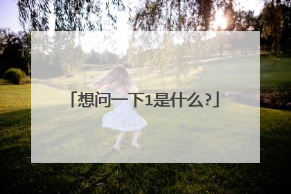 想问一下1是什么?
