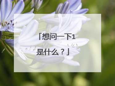 想问一下1是什么？