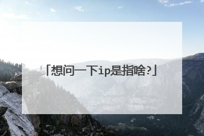 想问一下ip是指啥?