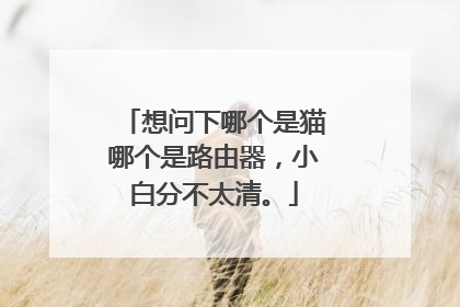 想问下哪个是猫哪个是路由器,小白分不太清。