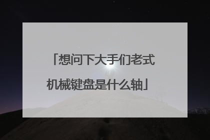 想问下大手们老式机械键盘是什么轴