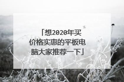 想2020年买价格实惠的平板电脑大家推荐一下