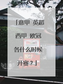 意甲 英超 西甲 欧冠 各什么时候开赛？
