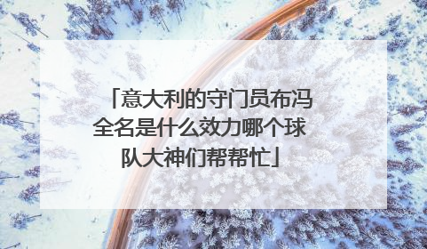 意大利的守门员布冯全名是什么效力哪个球队大神们帮帮忙