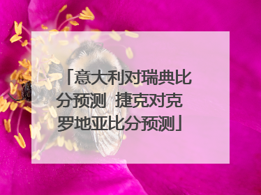 意大利对瑞典比分预测 捷克对克罗地亚比分预测